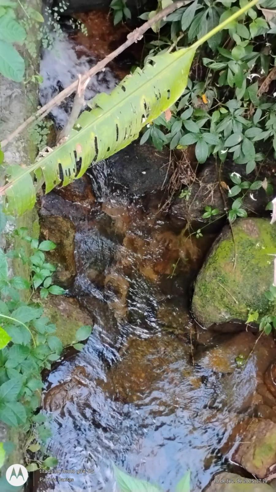 Casa Na Zona Sul, Jardim Botanico * Río de Janeiro
